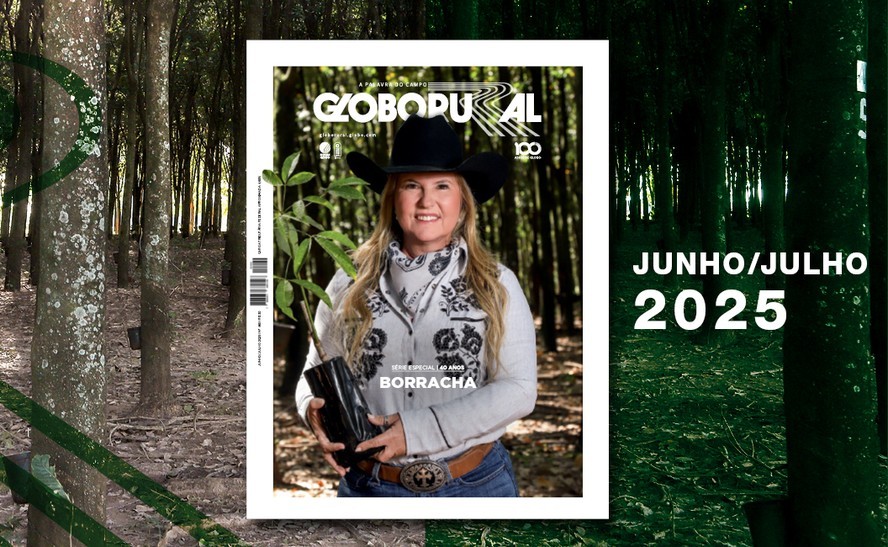 Da floresta à indústria, a borracha moldou parte da economia e do território brasileiro. O programa Globo Rural destacou essa trajetória e os desafios do setor para o futuro.