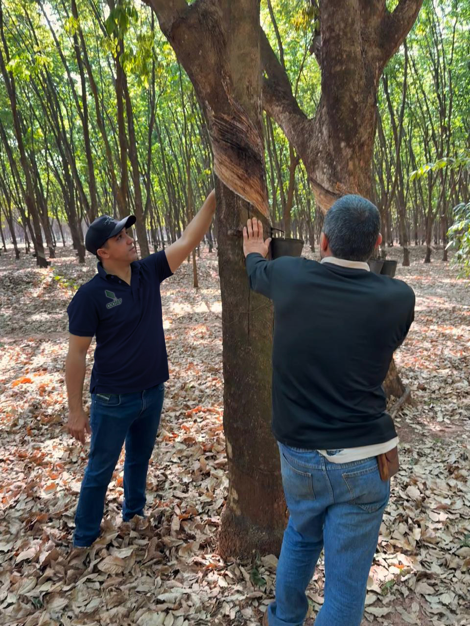 Assistência Técnica