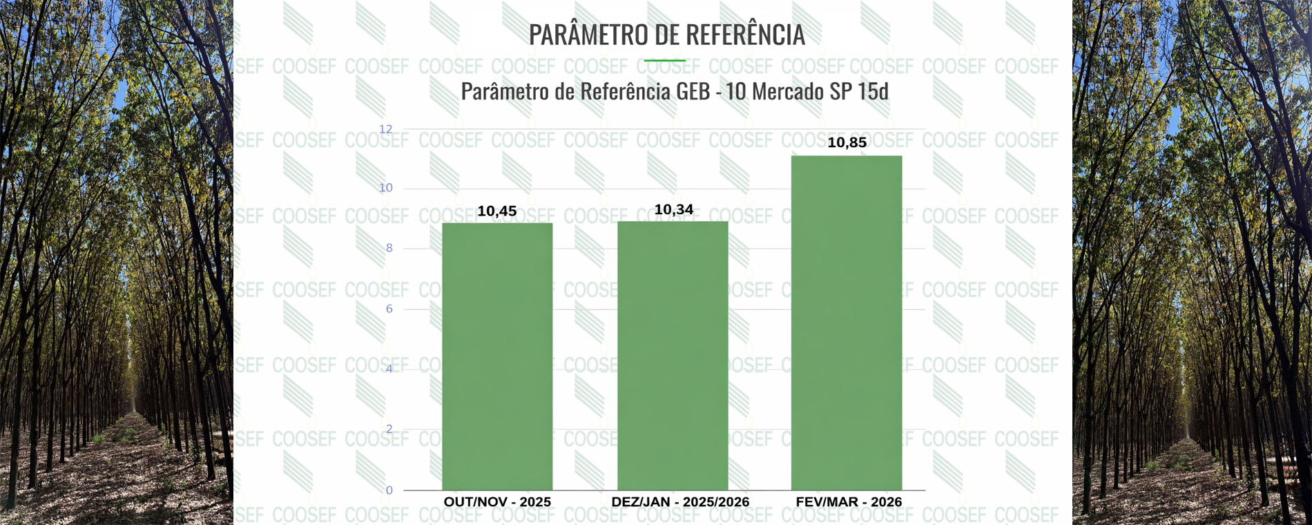 Parâmetro de Referência